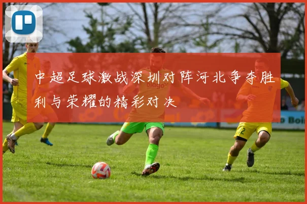 中超足球激战深圳对阵河北争夺胜利与荣耀的精彩对决