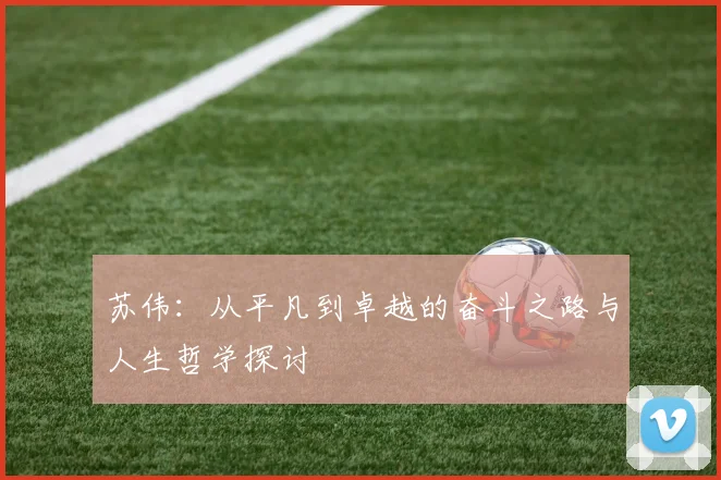 苏伟：从平凡到卓越的奋斗之路与人生哲学探讨
