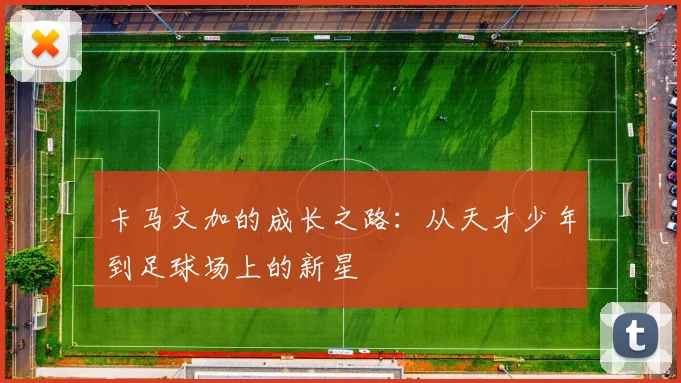 卡马文加的成长之路：从天才少年到足球场上的新星
