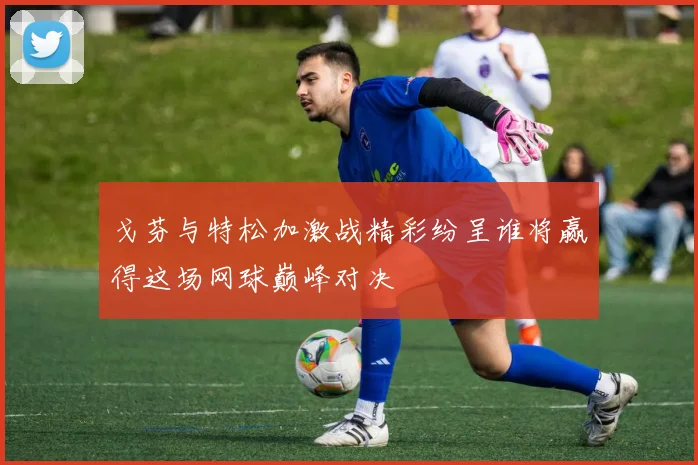 戈芬与特松加激战精彩纷呈谁将赢得这场网球巅峰对决